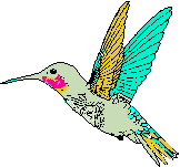 humming bird logo